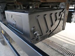 SCHMITZ CARGOBULL SKO 20/ LZG CITY /FP45 COOL / LBW 2000 / TRIDEC