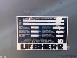 Liebherr LH 60 C Litronic EPA Umschlag bagger