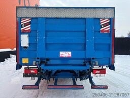 Scania P 250 4x2 PK 12002 / PLATFORM L=6997 mm