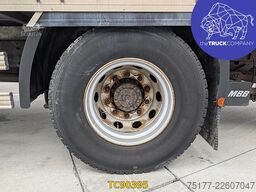MAN TGM 290