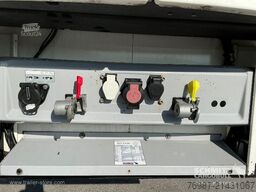 Schmitz Cargobull Tiefkühler Fleischhang