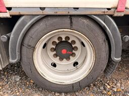  Wiese Gabelstaplertransporter Rampe Mega Lowline