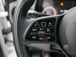 Mercedes-Benz Sprinter 317 CDI Kasten L3H2 Holz Navi Kamera