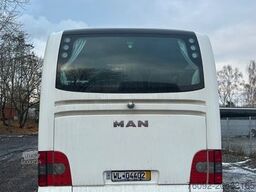 MAN R13 Lions Regio L (65Sitze*251 tKm)