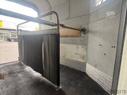 BÖCKMANN Classic 2 Pferdeanhänger Vollpoly 2t.