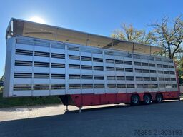 CUPPERS LV0 12-27 AL Livestock 5 stock Type 2