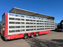 CUPPERS LV0 12-27 AL Livestock 5 stock Type 2