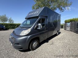 Peugeot Boxer | HORSETRUCK | GUILLAUME | PRO SAFETY 3XL...