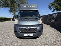 Peugeot Boxer | HORSETRUCK | GUILLAUME | PRO SAFETY 3XL...