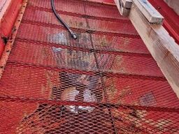 Rauch KOMET ZS 600 N