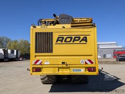 Ropa TIGER V8-3 beet harvester / 6000 MTH