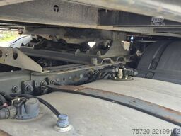 Fliegl SDS 390 Standard | EDSCHA | Liftachse