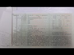 Piaggio Piaggio Porter Maxxi Winterdienst – UMO