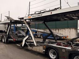 SCANIA P410 + Rolfo FLX - Pegasus