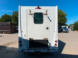 RENAULT Theault Proteo   5 Sitzer  Haras / Hengste