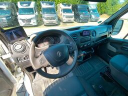 RENAULT Theault Proteo   5 Sitzer  Haras / Hengste