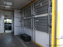 iveco Daily 35 S11 C30C AUTOMATIK KAMERA Regale LUFT DURCHGANG EURO-5 CoC