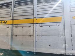  Stehmann 2 Stock