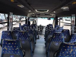 Iveco Thesi / Automatic gear box / Retarder / Lift