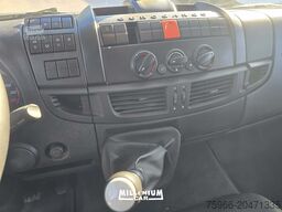 Iveco 100E22 PRESA DI FORZA EURO 6 MANUALE