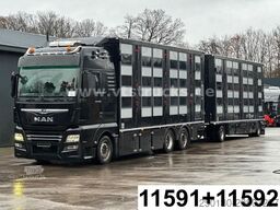 MAN TGX 26.500 3./4. Stock Menke-Janzen Komplettzug