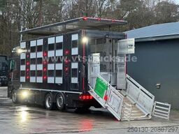 MAN TGX 26.500 3./4. Stock Menke-Janzen Komplettzug