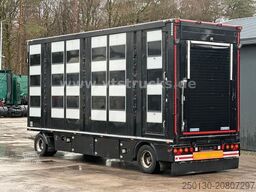 MAN TGX 26.500 3./4. Stock Menke-Janzen Komplettzug