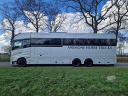 Volvo FH 540 Jong gebrukt 7 paards plus living pop-ot...