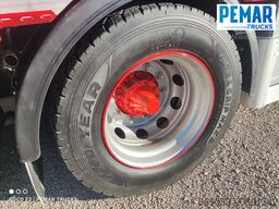 SCANIA R 450 6X2 GRUA CAJA FIJA - BDF EURO 6