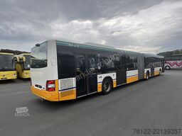 MAN A 23 Lions City