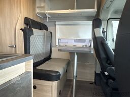 2024 Fiat Ducato Weinsberg Carabus Manuel | Toit relevable