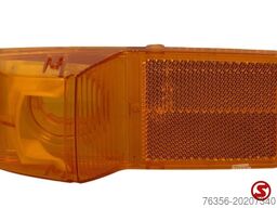 Scania Richtingaanwijzer voor L/R glaskleur: oranje, P21W
