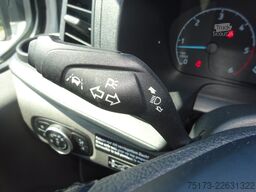 FORD Nugget 185PS Autm. Bi-Xenon Markise AHK ACC