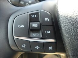 FORD Transit 350 L3H2 Trend Kasten AT  WiPa GRA PDC