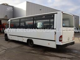 Mercedes VARIO