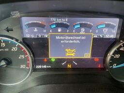 FORD F-Max 500 Lowliner Standort Auetal