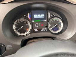 DAF LF 220 EURO 6 BLATT/BLATT -LAMMES/LAMMES - SCHA...