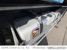 DAF XF480*Kipphydraulik* Wechselbrücke*Hinterkipper