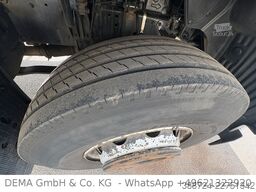 MAN TGM 18.290*E6b*Carrier*LBW*Kamera*Trennwand*