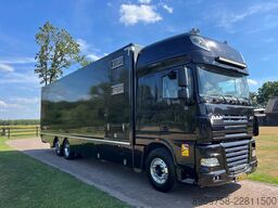 DAF XF 105