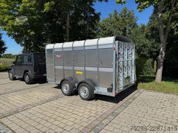 Ifor Williams TA510G12, 3,5 to., 3660 x 1780 x 1830 mm