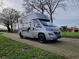Opel Movano AKX S3 paardenwagen hengsten uitvoering ...