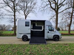 Opel Movano AKX S3 paardenwagen hengsten uitvoering ...