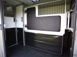 Opel Movano AKX S3 paardenwagen hengsten uitvoering ...
