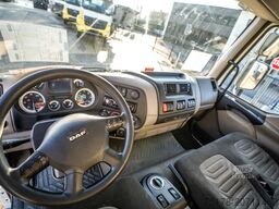 DAF LF 55.250