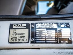 DAF LF 55.250