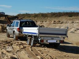 BLYSS 3-Seitenkipper Anhänger 314x175x40cm 3500kg GG