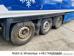 KRONE SD *Carrier-Vector-1950/Doppelstock/+-30°/1.Lift