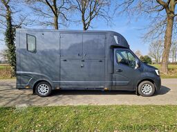 Renault Master Actie! Nieuw model STX 2025 paardenwagen...
