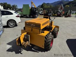 CASE 25+4 Schlepper Allrad 4x4